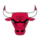 Chicago Bulls