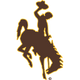 Wyoming Cowboys