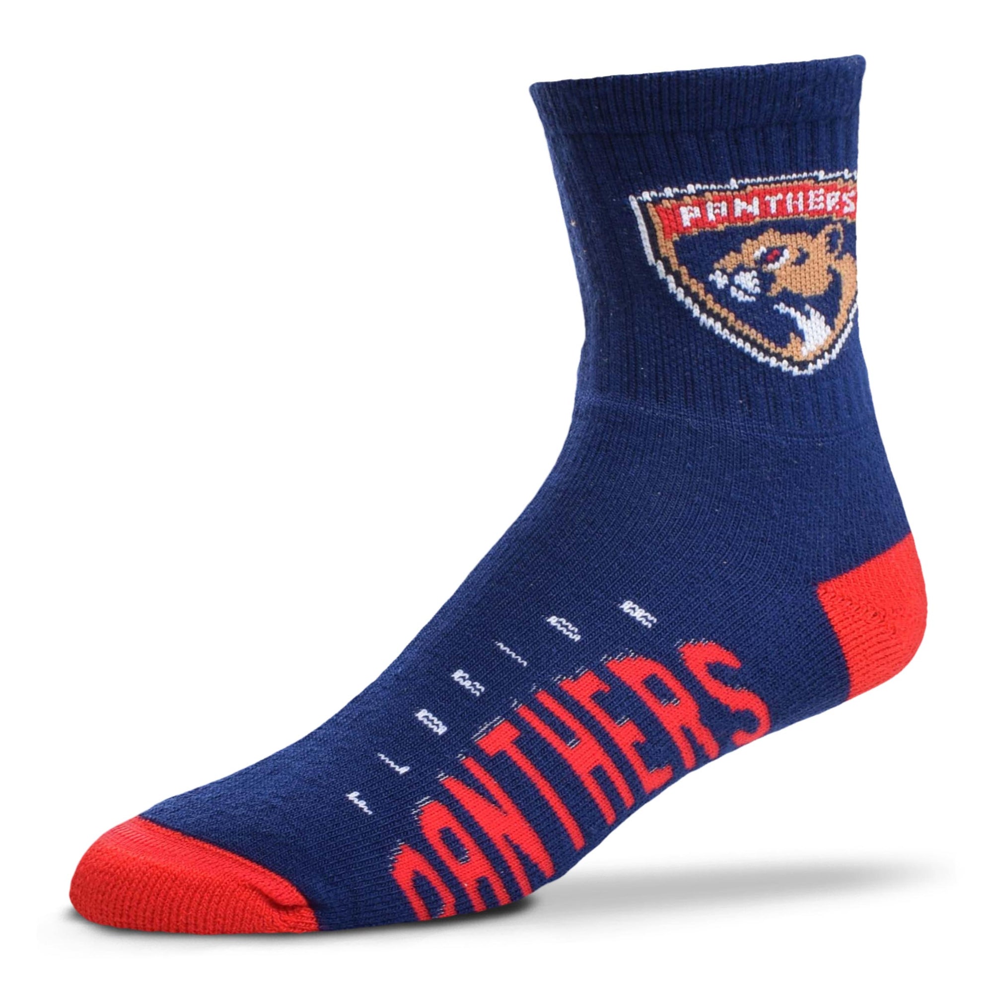 Florida Panthers Team Color