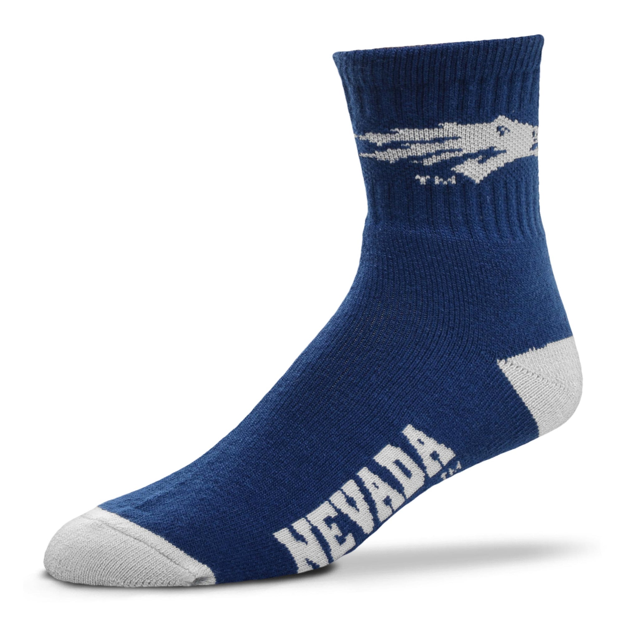 Nevada Wolf Pack Team Color