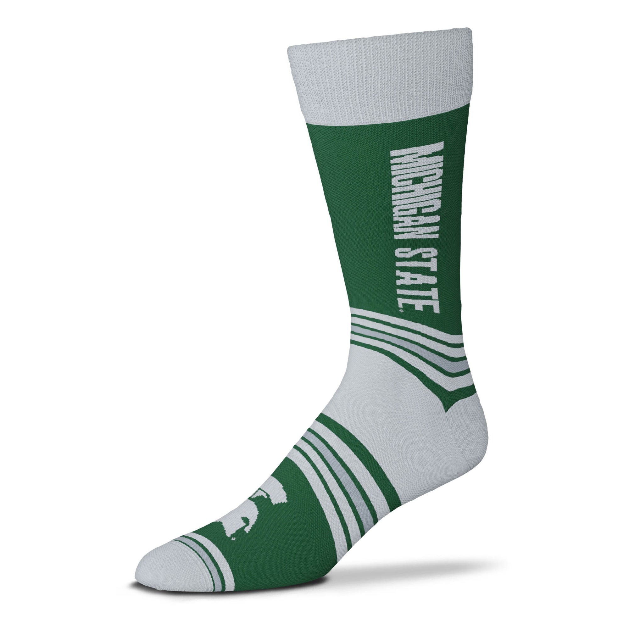 Michigan State Spartans Go Team