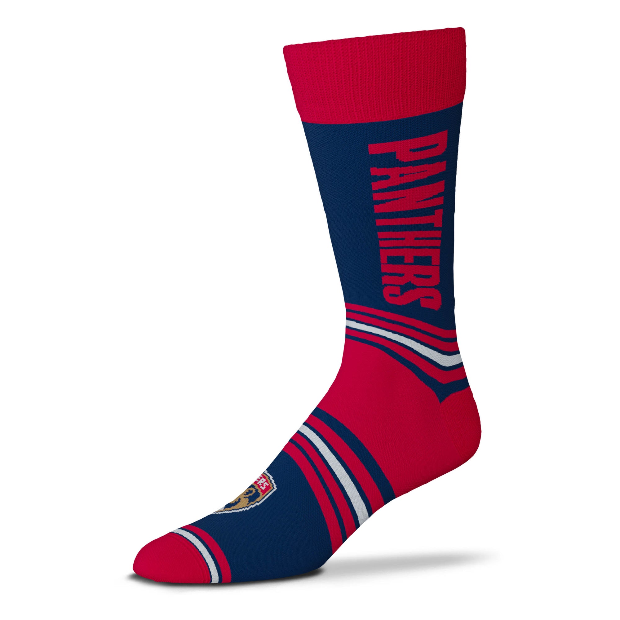 Florida Panthers Go Team