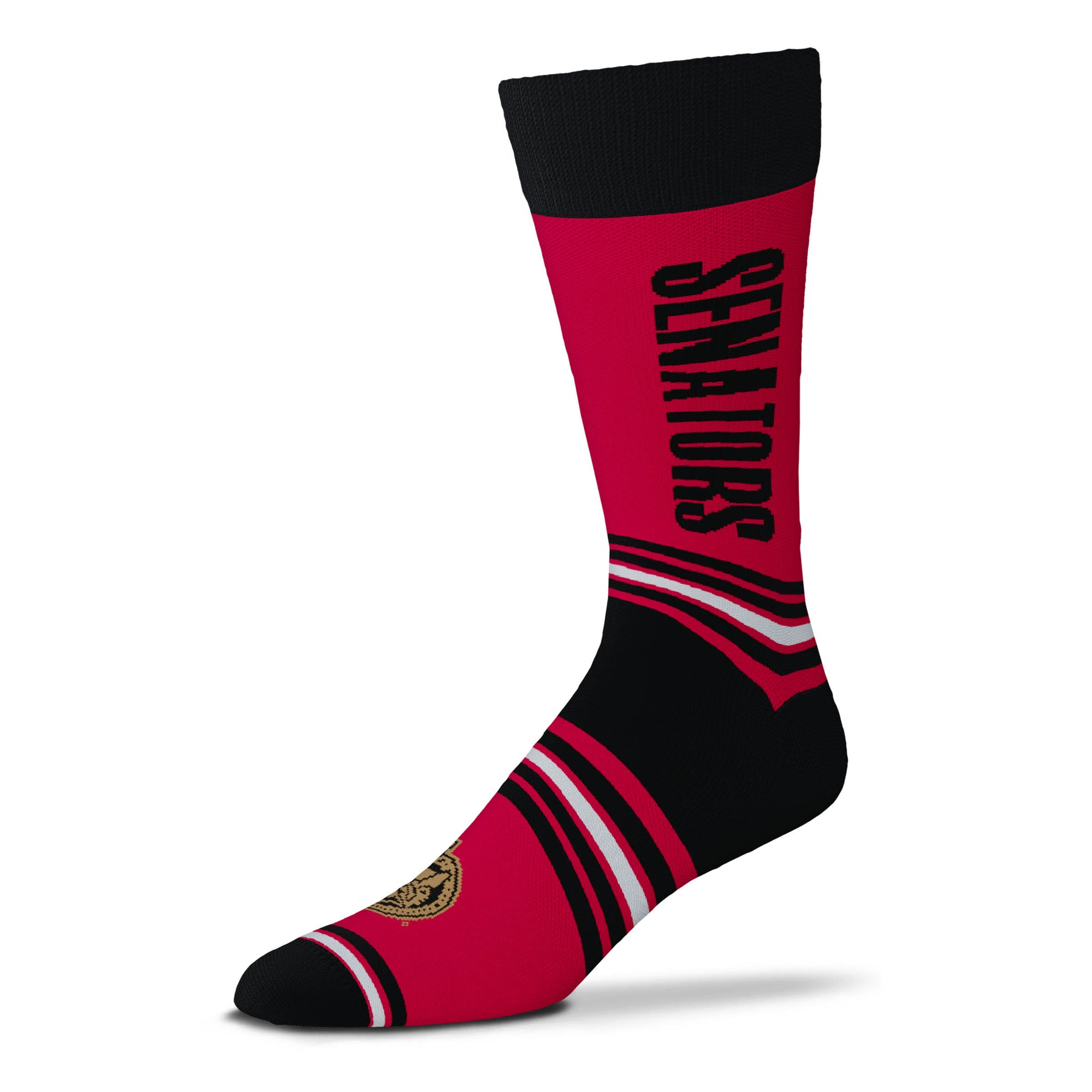 Ottawa Senators Go Team