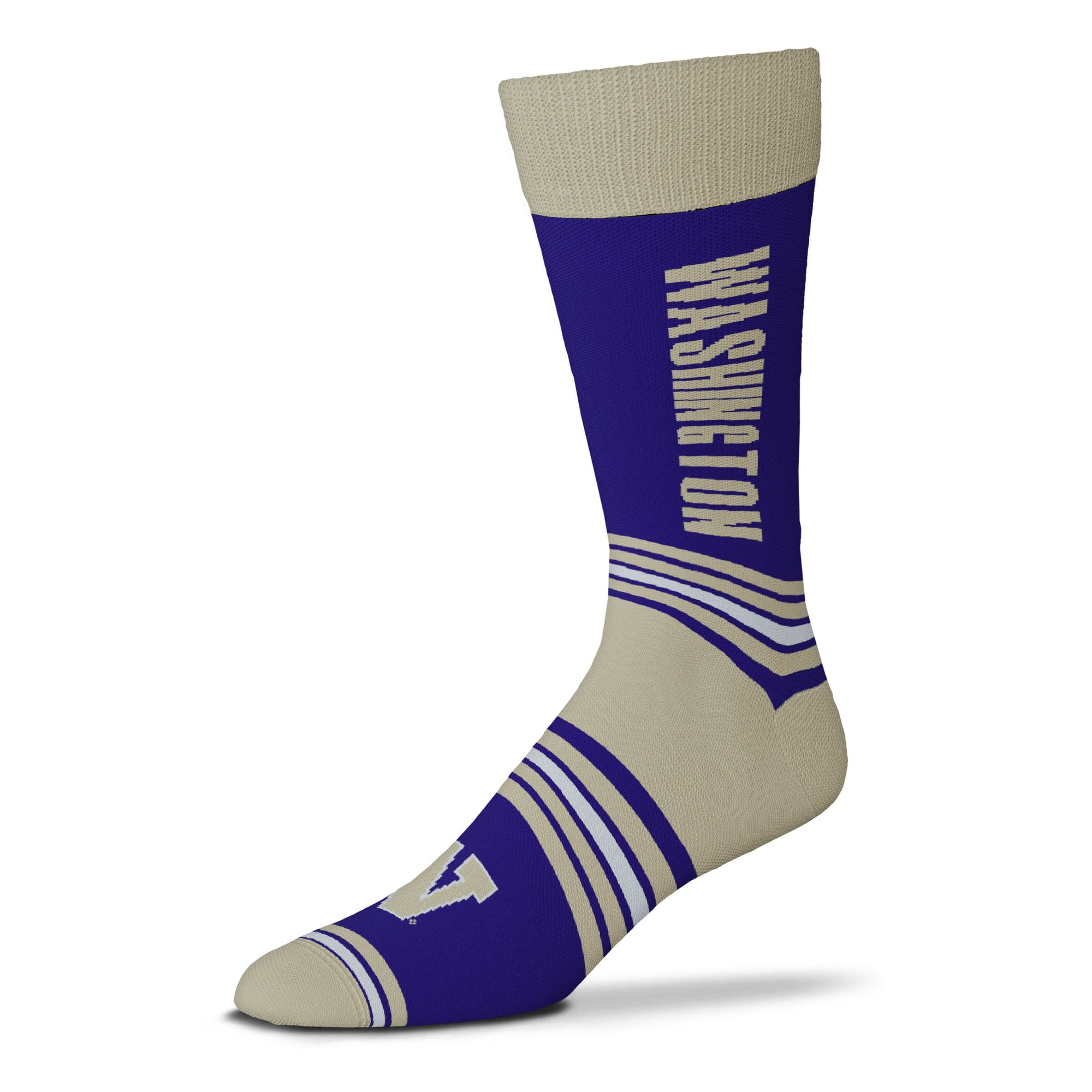 Washington Huskies Go Team