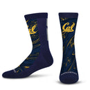 Cal Bears Conversion Oily