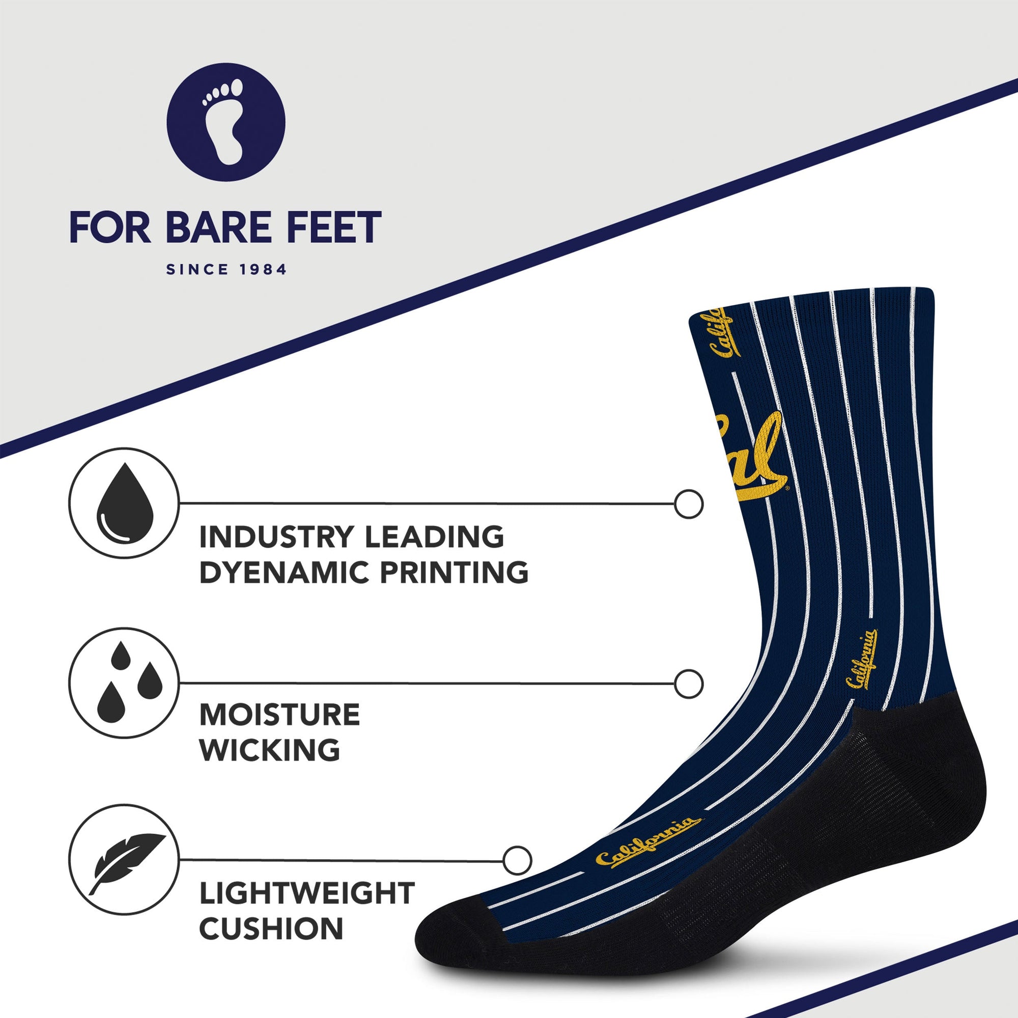 Cal Bears Pinstripe