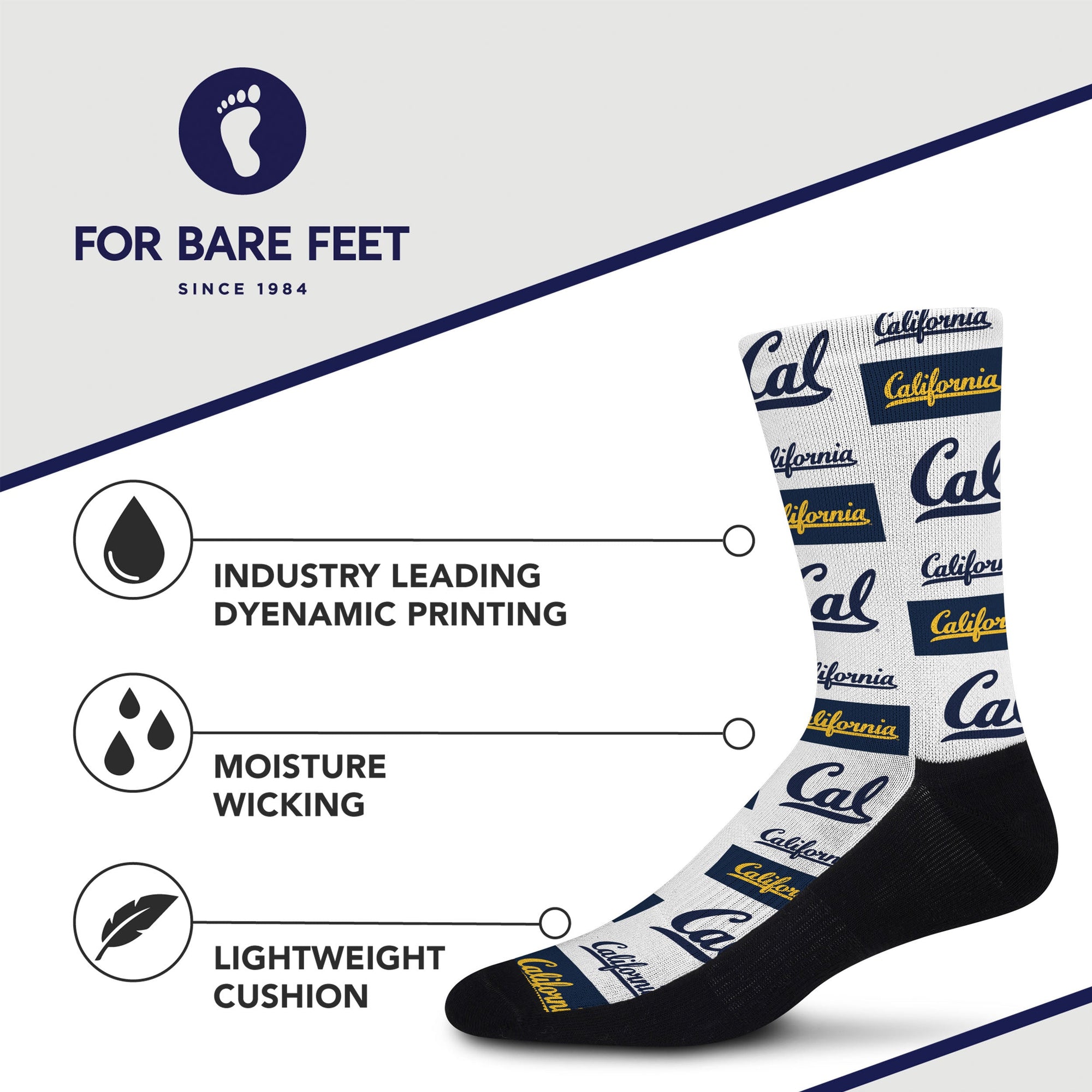 Cal Bears Poster Print