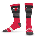Chicago Bulls Disruptor Premium Crew