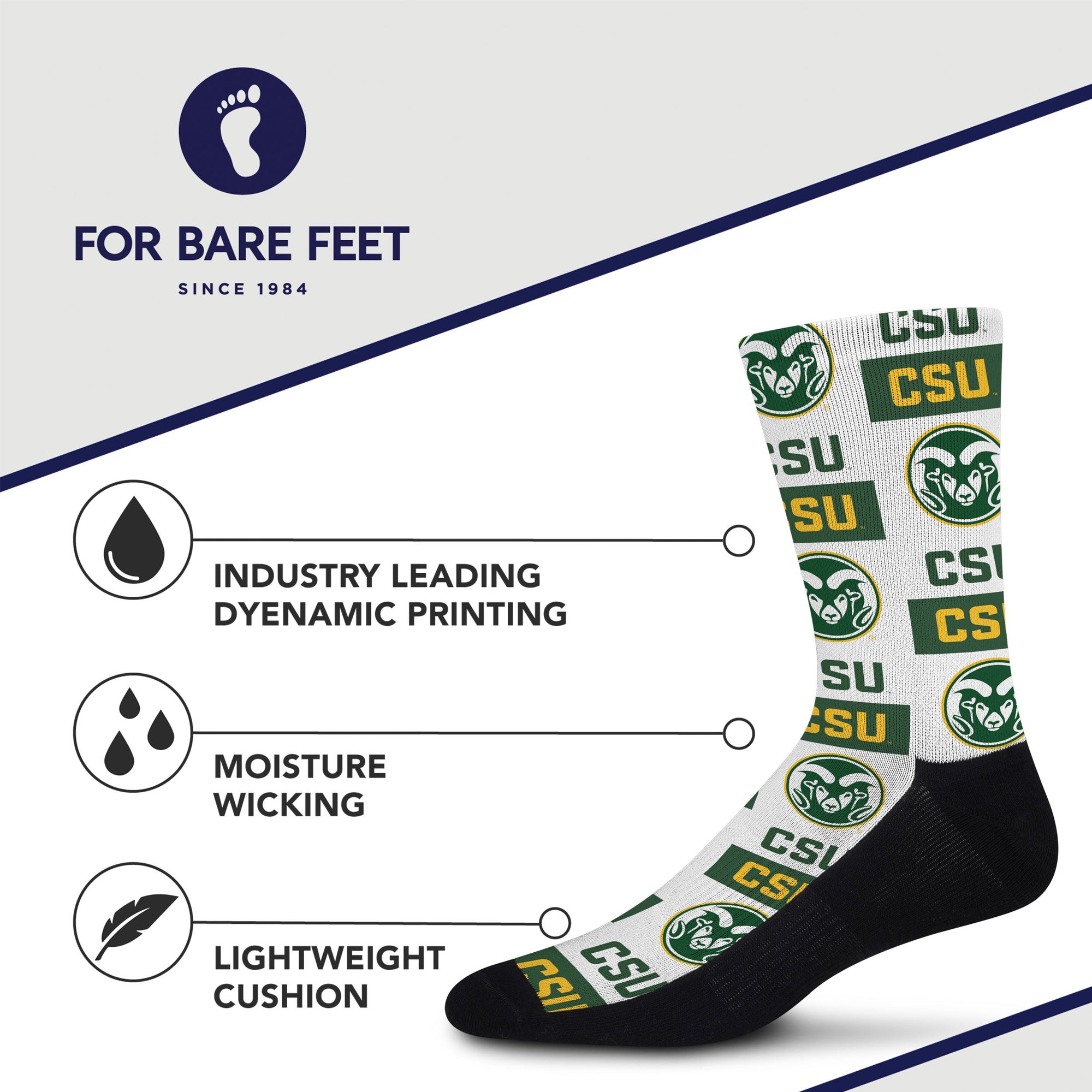 Colorado State Rams Poster Print