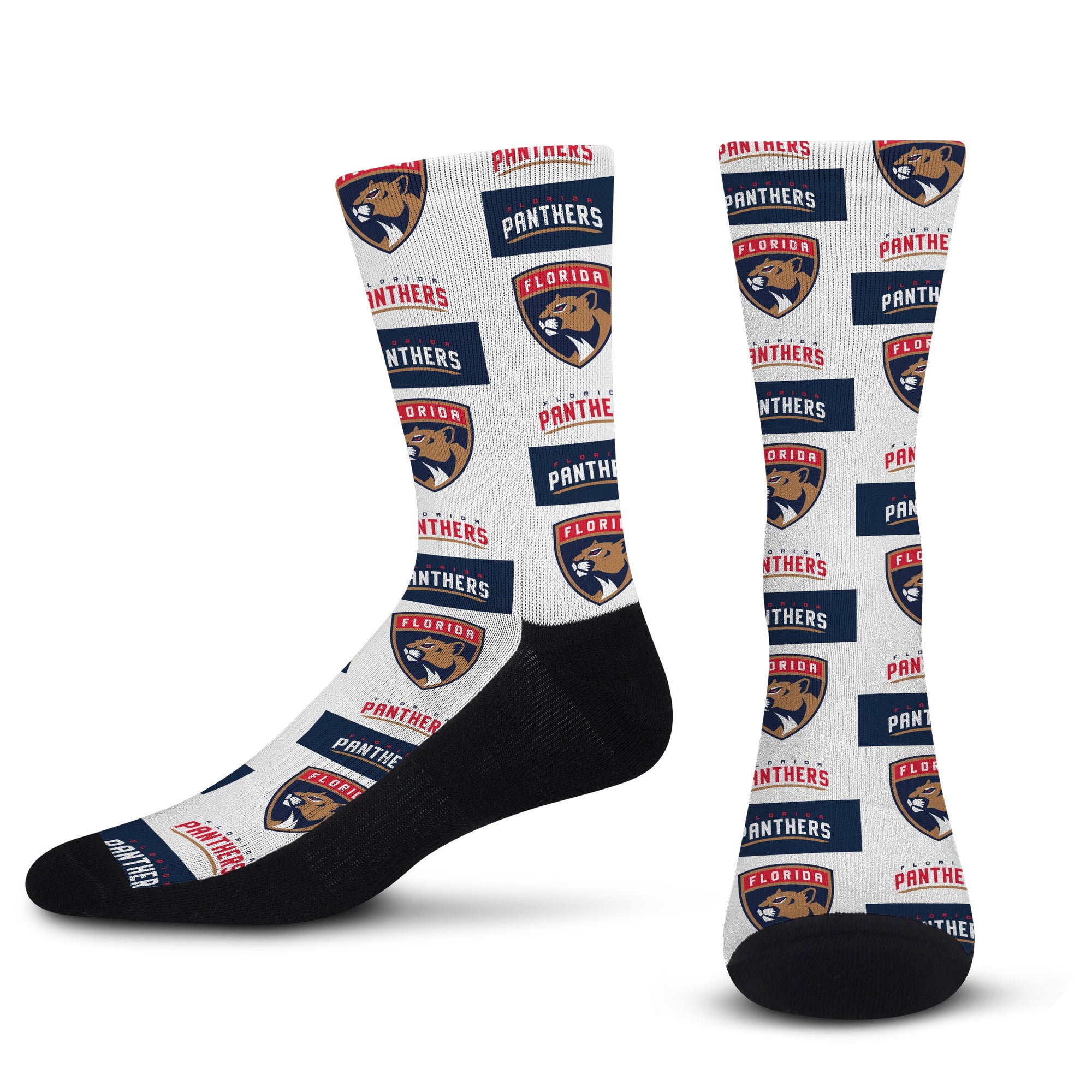 Florida Panthers Poster Print