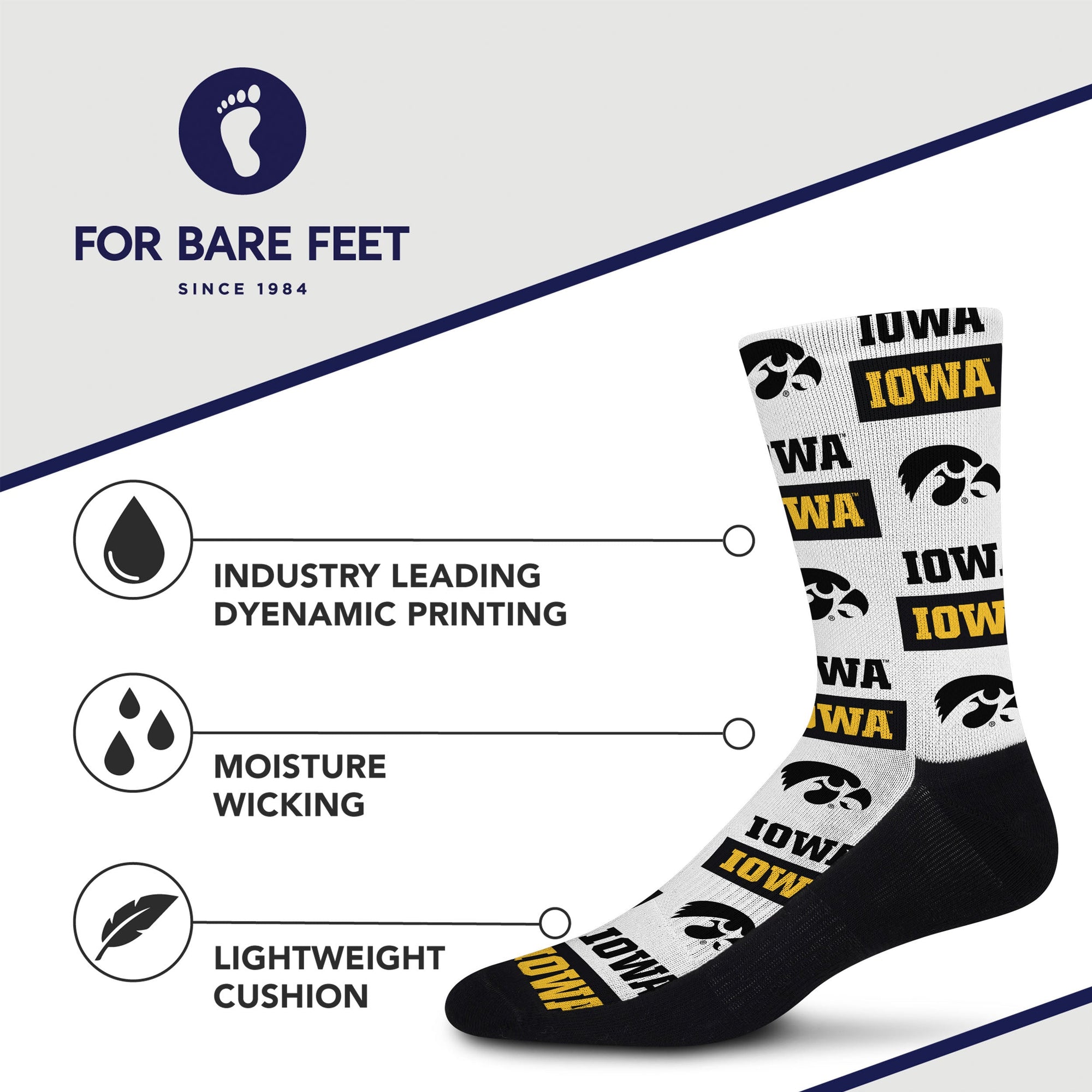 Iowa Hawkeyes Poster Print