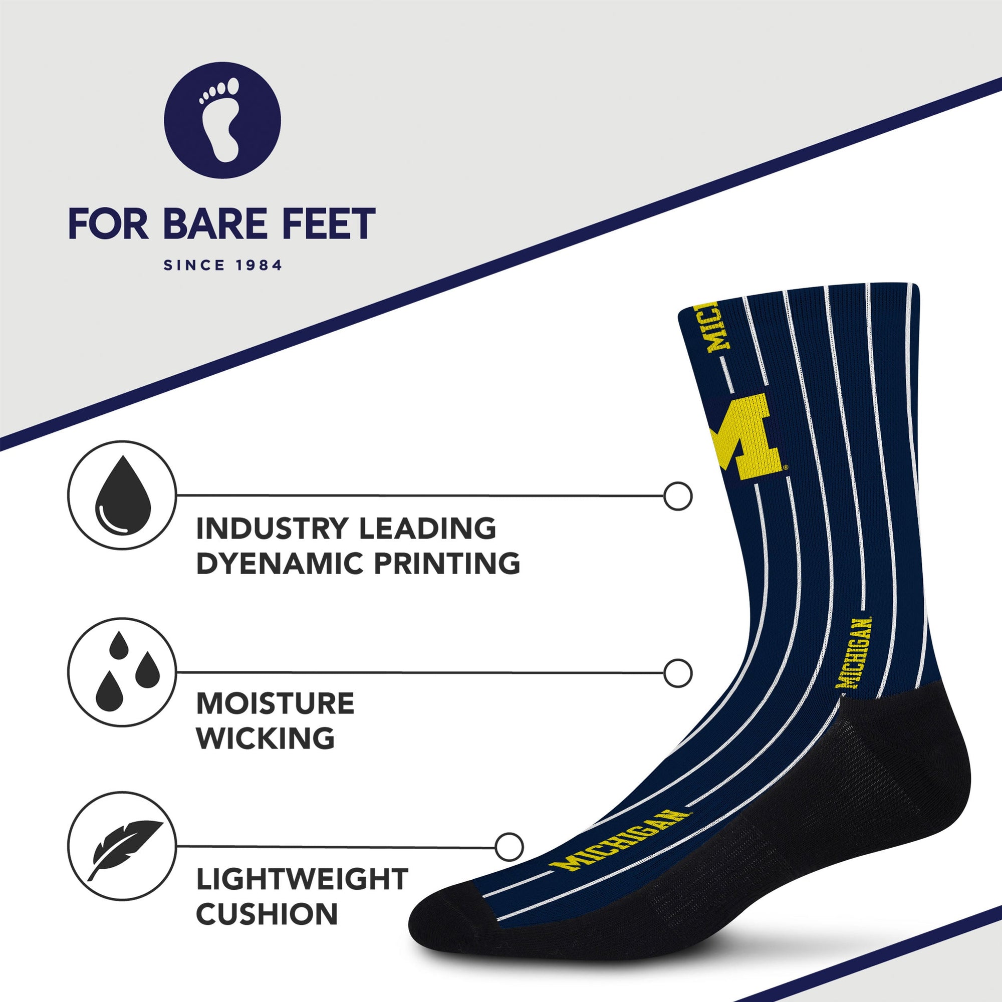 Michigan Wolverines Pinstripe