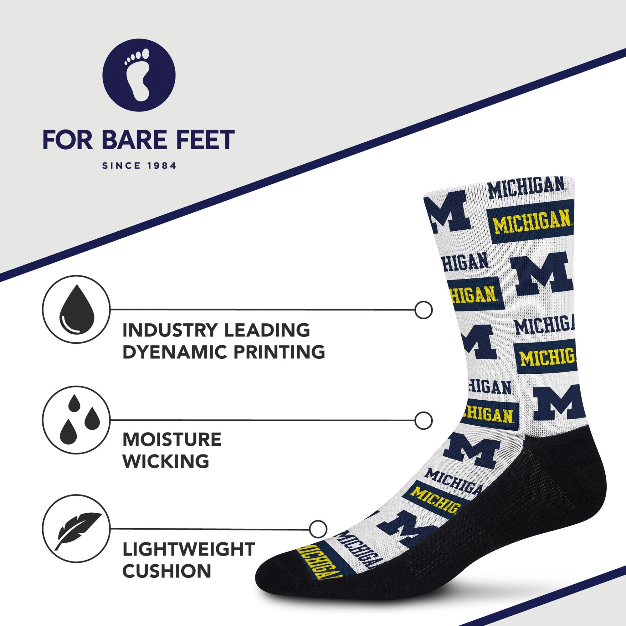 Michigan Wolverines Poster Print