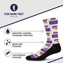 Northern Iowa Panthers Poster Print