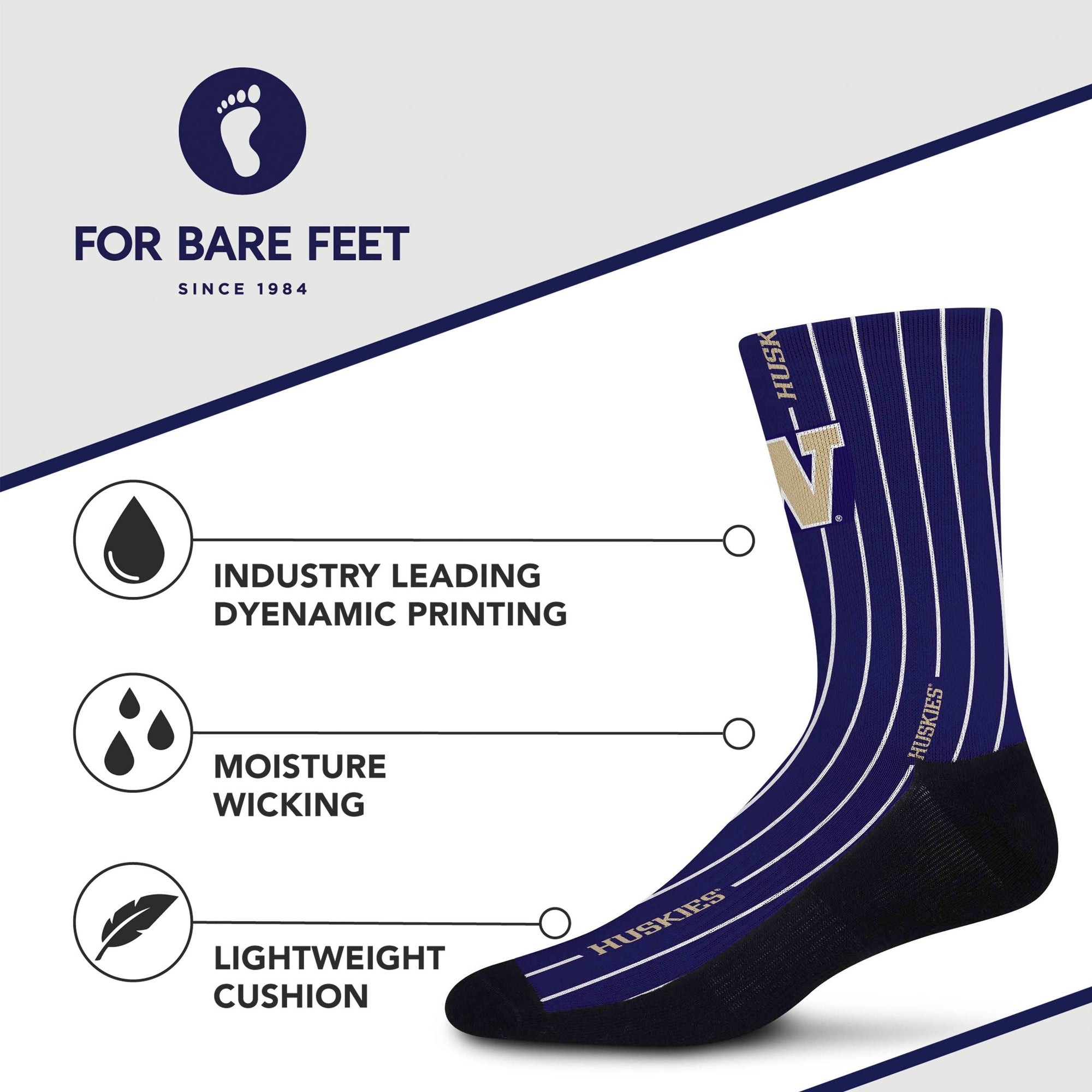 Washington Huskies Pinstripe