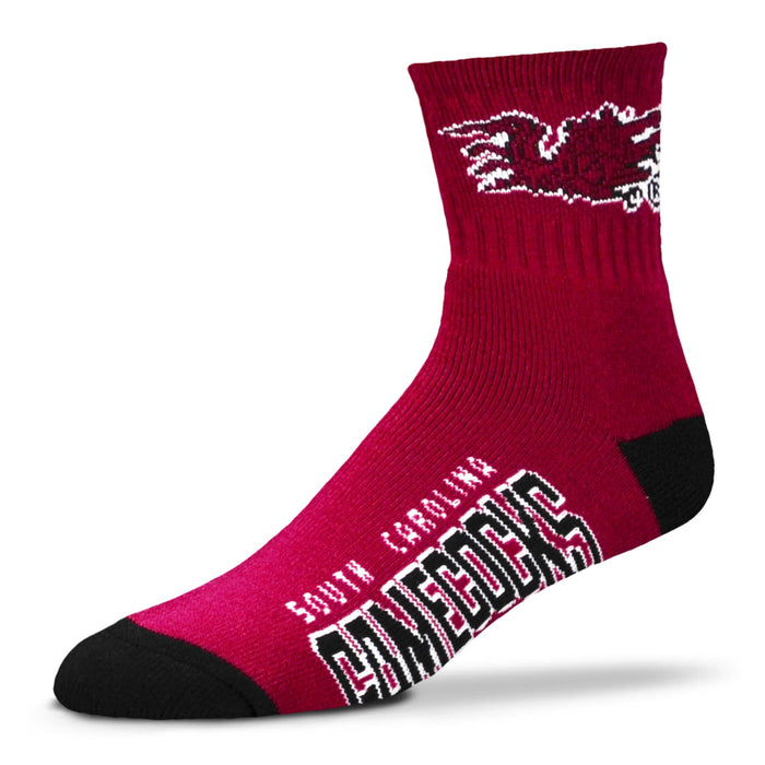 South Carolina Gamecocks Team Color