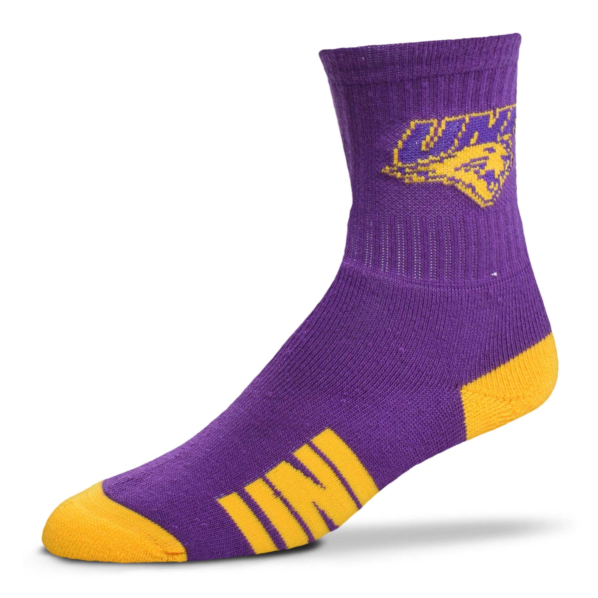Northern Iowa Panthers Team Color