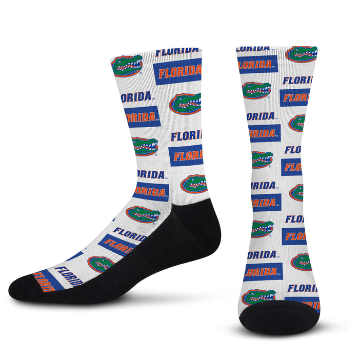 Florida Gators Poster Print